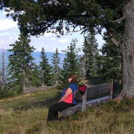 ホテル - - Klippitz Nordost Reichenfels